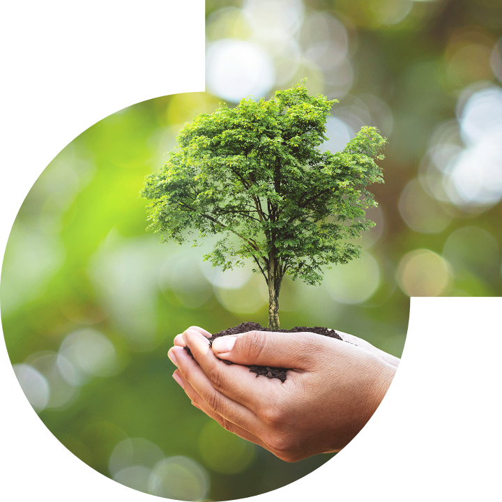 关怀人类、文化、环境与社会